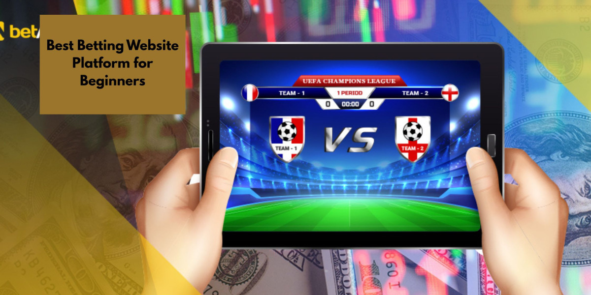 Best Betting Website Platform for Beginners
