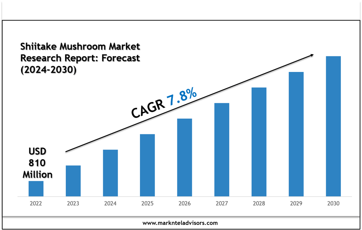 Leading Players & Segments in the Shiitake Mushroom Market 2030 – Site Title