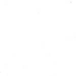 totosafereult totosafereult