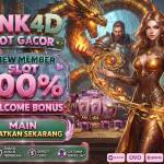 PINK4D PINK4DGACOR