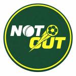 notout notout